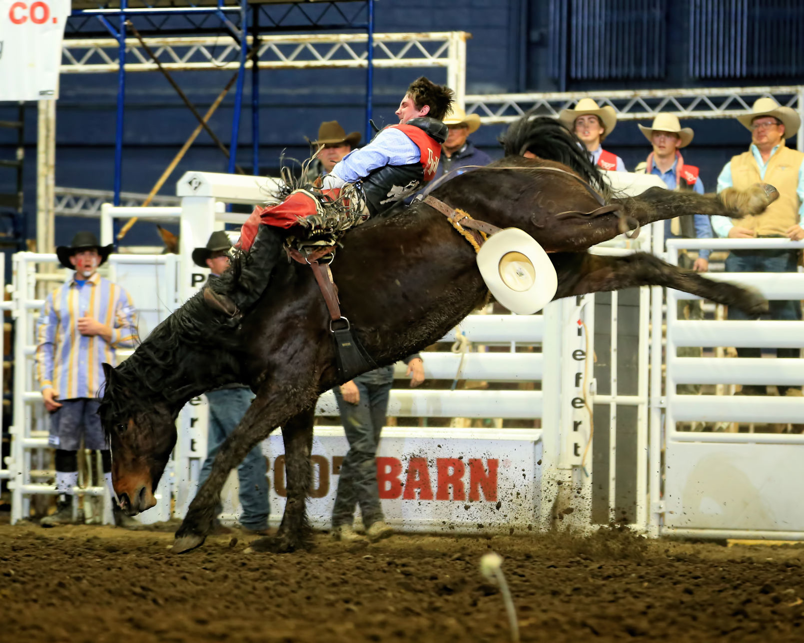 Ruger Piva Montana Western rodeo